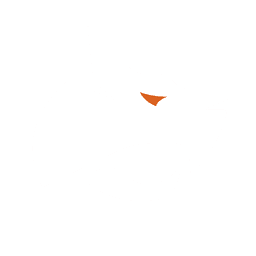 PeekoStudios logo
